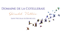 Vin