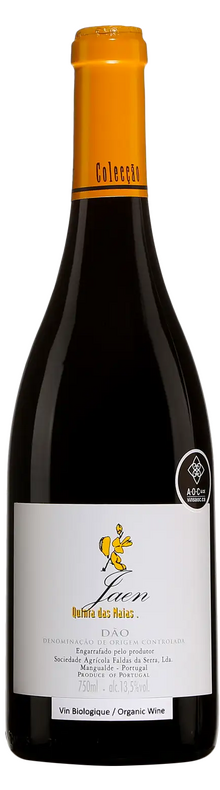 Jaen Dao 2022
