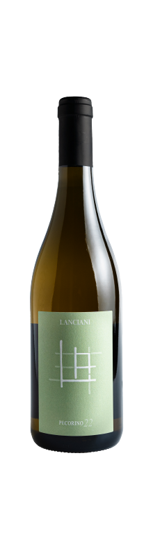 Versante Sud Marche Bianco 2024