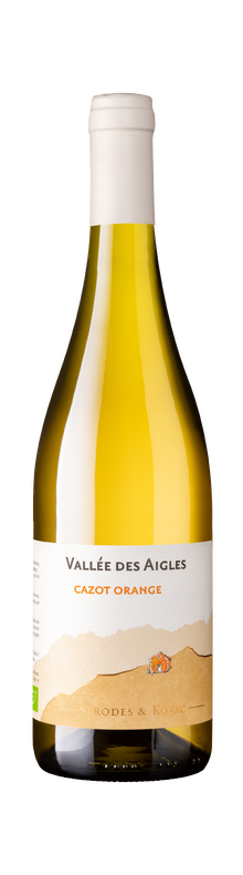 Cazot Orange 2022