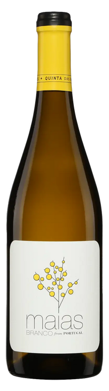 Maias Branco 2023