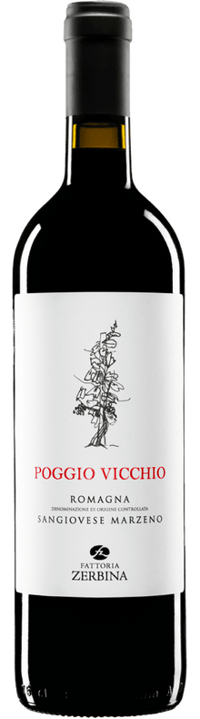 Romagna Poggio Vicchio 2023