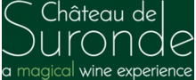Ch&acirc;teau de Suronde
